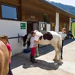 Haflingerhof