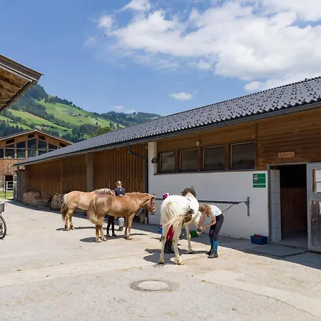 Lägenhet Haflingerhof