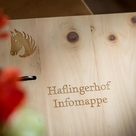 Apartment Haflingerhof Westendorf
